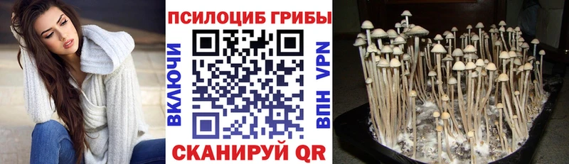 Псилоцибиновые грибы Magic Shrooms  ссылка на мегу зеркало  Гатчина 